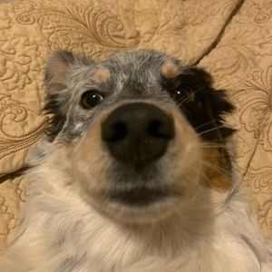 Meet your Posher, Aaliyah